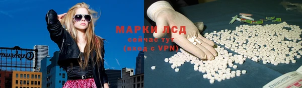 стафф Баксан
