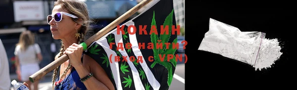 apvp Бородино